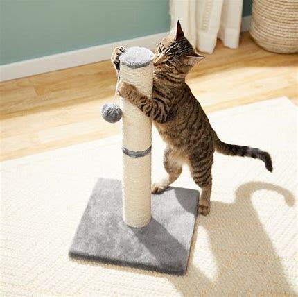 best gift ideas for cat lovers
cat scratching post